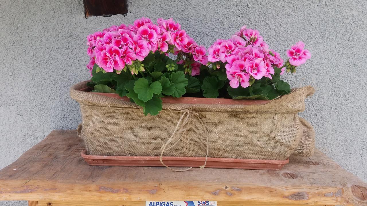 Maison Des Abeilles Vda Gressan N 0028 外观 照片